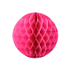 photo-2992586